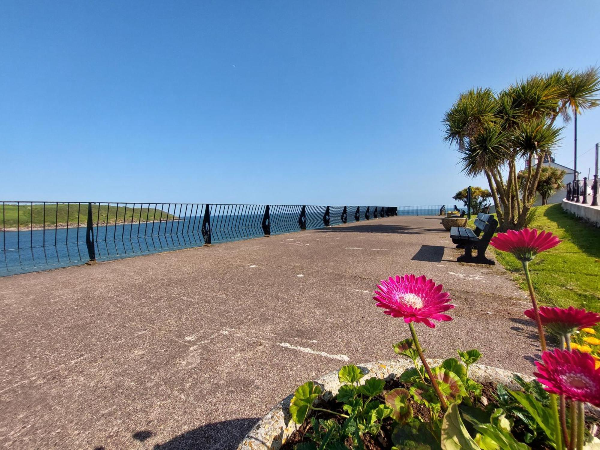 Sea Whispers - My Charming Costal Retreat In Youghal Extérieur photo